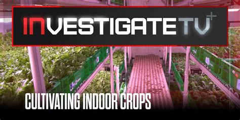 InvestigateTV+: See how vertical farms offer solutions to food ...