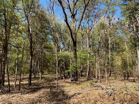 Lots 30 34 Armadillo Dr, Murchison, TX 75778 | MLS# 21220492 - Trulia ...