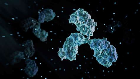 Precision L1RAP Cancer Therapy Eliminates Tumors | Technology Networks