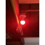 Customer reviews for Feit Electric Smart LED 17.7 Watt (100 Watt Eq ...