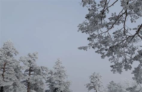 I migliori percorsi lunghi in Valjevo-grad | AllTrails