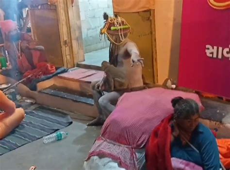 Junagadh Naga Sadhu Chases Devotees with Sword | Dutt Chowk Panic