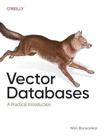 Vector Databases: A Practical Introduction: Borwankar, Nitin ...