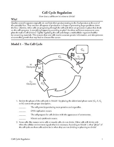 Cell Cycle Regulation: Understanding Checkpoints and Control (Bio 18) - Studocu
