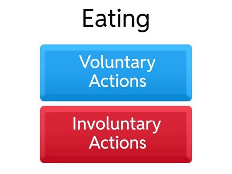 Year 6 : Voluntary and Involuntary Actions () - Quiz