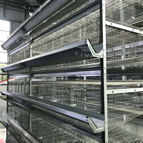 What Does a Yellow Bird Mean Spiritually and Biologically?