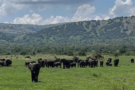 JOHNSON TOURS RWANDA (2025) All You Need to Know BEFORE You Go (with ...