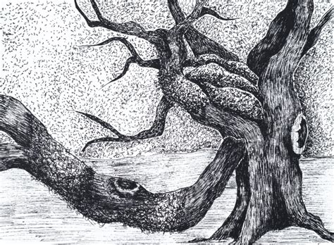 Tree Drawings & Sketches | Buy Realistic Pencil Tree Drawings – ArtZolo.com