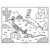 575+ Desert Animal Coloring Pages (Free)