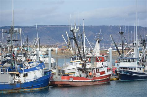 Seawatch: Most halibut quotas set lower | Peninsula Clarion