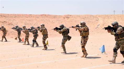 What are the key joint military exercises between India and Egypt?