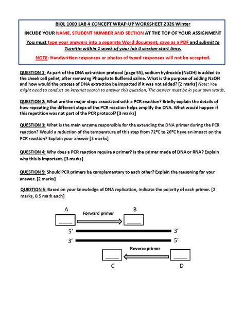 BIOL LAB 4 CONCEPT WRAP-UP WORKSHEET 2026 Winter - Studocu