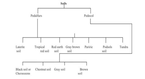 Classification Distribution Soils – UPSC Notes & Explanation | Studento