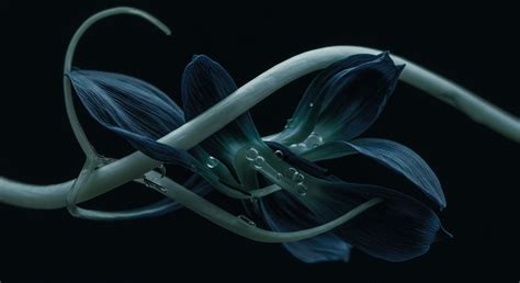 What Technologies Enhance Microgrid Efficiency? → Question