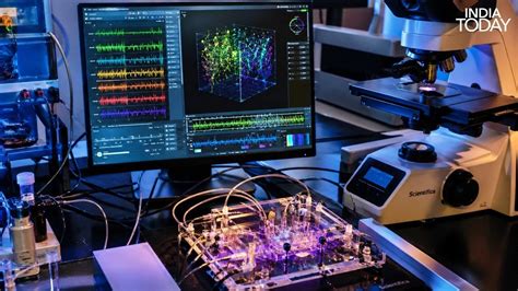 Indian-origin scientist unveils 3D mini-brain chip breakthrough
