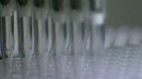 Genetic genealogy brings promise and challenges to the Nancy Guthrie case