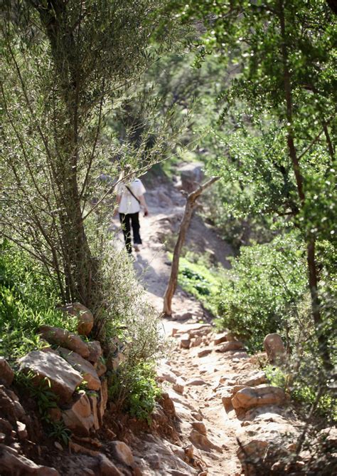 The secret Moroccan valley with fruit trees, flowers and crystal-clear ...
