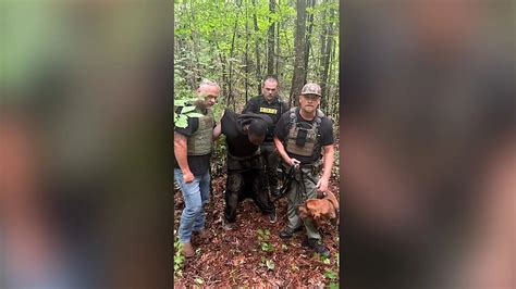 Bloodhound K-9 unit helps bring Georgia manhunt to end with arrest of ...