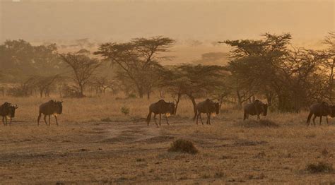 MERU NEST ARUSHA - B&B Reviews & Photos - Tripadvisor