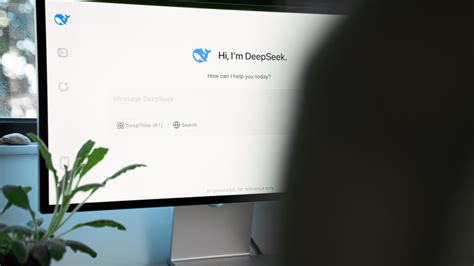 Image result for Deepseek Local Python