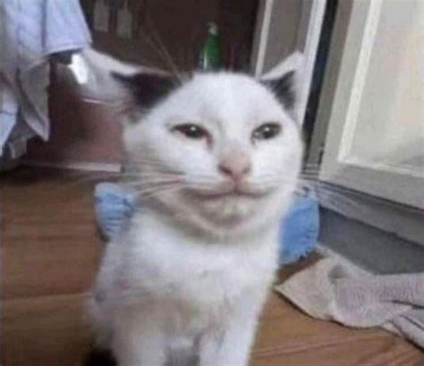 Mewing Meme - TOP Ảnh Chế Jawline Hot Nhất 😏