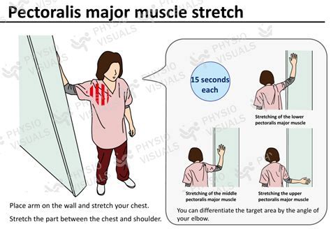 Pectoralis Major Stretch: Boost Flexibility and Prevent Injury in ...