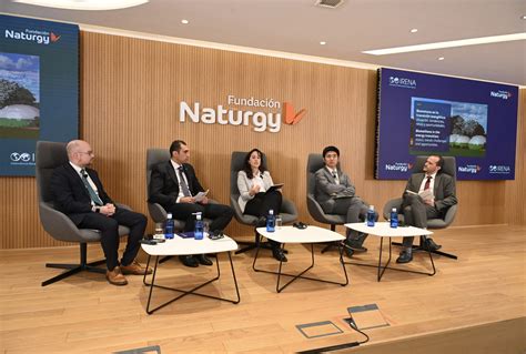 Experts agree on the strategic role of biomethane in the energy ...