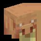 Piglin - Minecraft-Heads.com