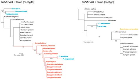 Genomic Footprints of Multiple Host Lineages in the Mitochondrial and ...