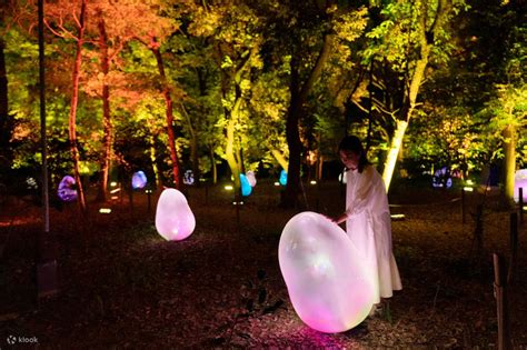 teamLab Botanical Garden Osaka Tickets - Klook Verenigde Staten
