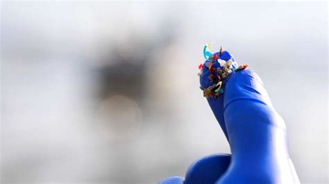 Fluorescent Microplastics Reveal How Particles Move in Body ...