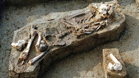 23,000 years ago, humans lived here year-round - and cultivated crops