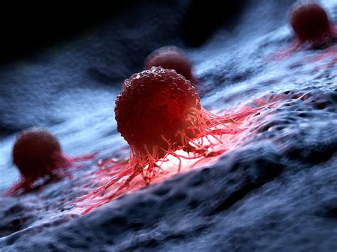 Image result for Cancer