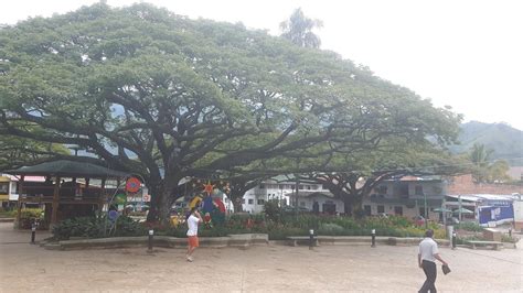 HOTEL PLAZA UTICA - Hotel Reviews & Photos - Tripadvisor