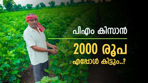 PM Kisan: 2,000 രൂപ ഉടൻ കിട്ടും, പിഎം കിസാൻ പദ്ധതിയിൽ നിങ്ങളില്ലേ.? പണം ...