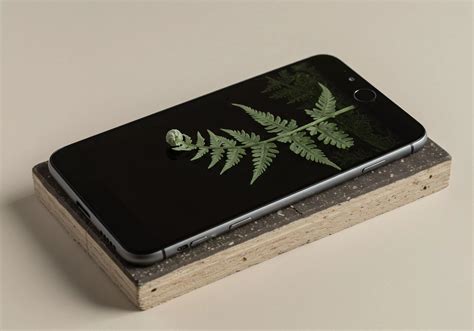 What Is a Geographic Correlation? → Learn