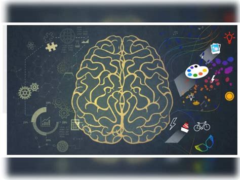What happens to the brain and mind when they rest? - Times of India
