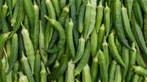 Okra water for diabetes: How does it lower blood sugar?