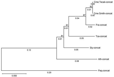 Taxonomical, Molecular and Phytochemical Characterization of an Endangered Medicinal Plant ...