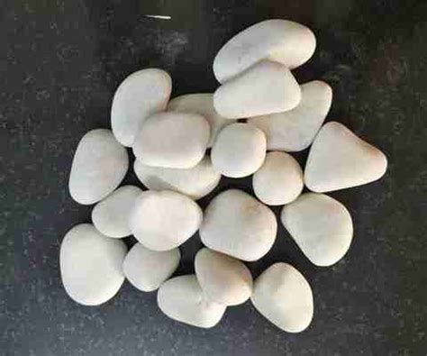 SKHOUSE Natural White River Pebbles (Smooth Stone Set) River Rock ...