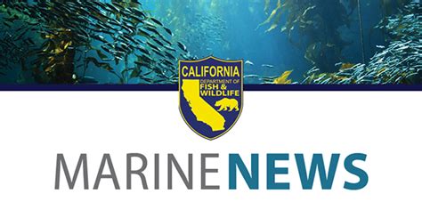 CDFW Marine News Informational Notice - CDP H Lifts Warning about Sport ...
