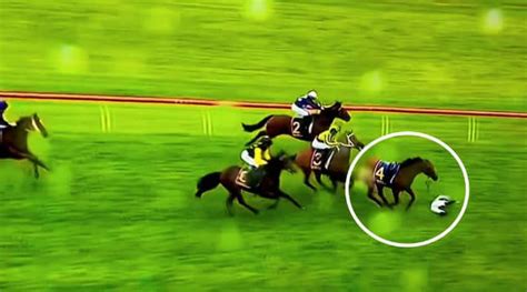 Un cheval concurrent lui assène un coup de tête à quelques mètres de l ...