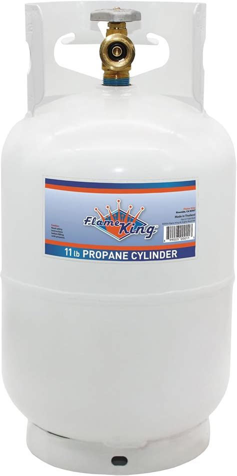 Gardenique Flame King 10LB Steel Propane Tank Cylinder with Type 1 ...