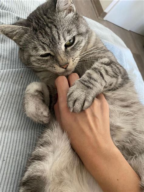 prohibido juzgar mi gasto hormiga en cafe… #dump #fyp #chile | TikTok