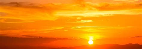 Bioptron Orange Light Therapy NZ: Uses, Routine, Tips – Zepter Bioptron ...