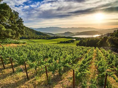 Souvenirs with a story: California’s best locally made finds