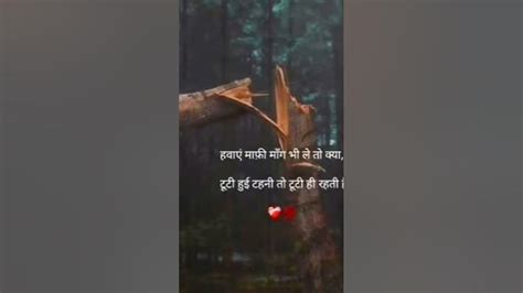 #status #viral #trend #yt - YouTube