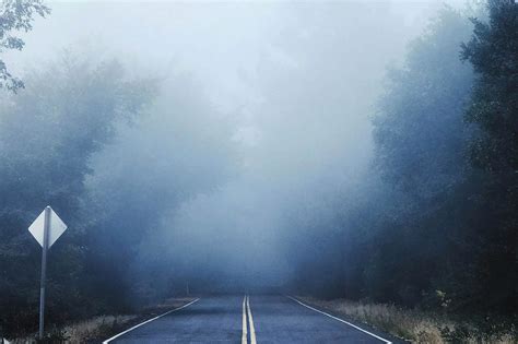 WEATHER NOTICES: Fog advisory and rainfall up to 25 mm in southern Ontario | INsauga