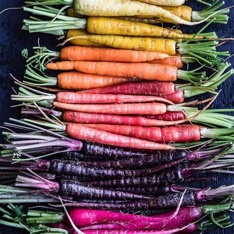 V026/Heirloom Rainbow Carrot Seeds (50+ Mix) - Organic, Multi-Color ...