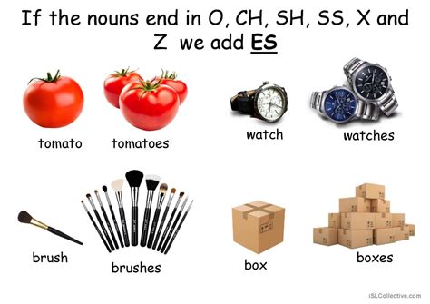 Vital features of SEVERAL DIFFERENT PLURAL FORMS WHICH ONE TO USE IN GENERAL